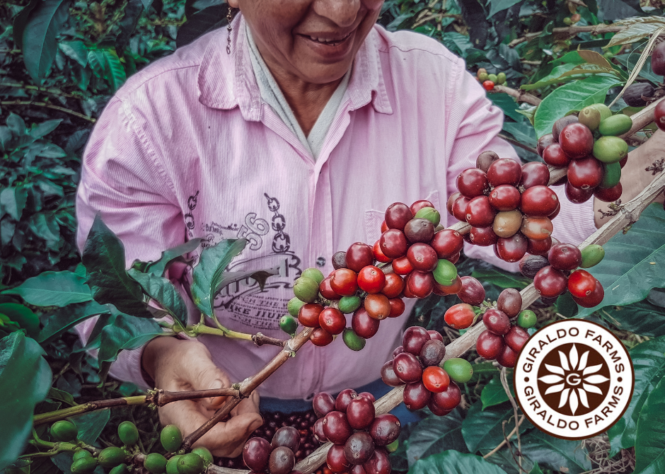 women in coffee 