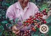 women in coffee