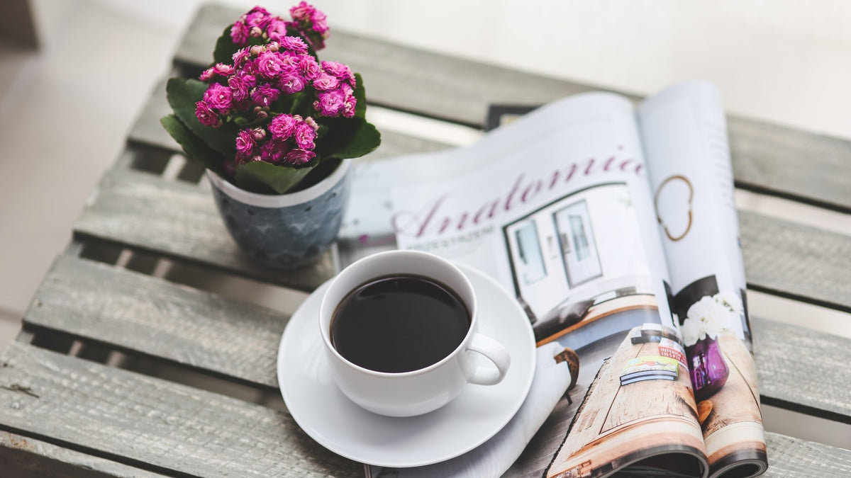Best Instant Coffee Brands