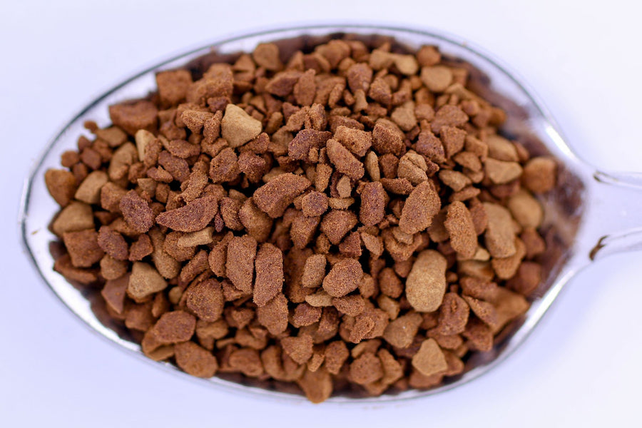 Close-up of freeze-dried instant coffee crystals on a spoon